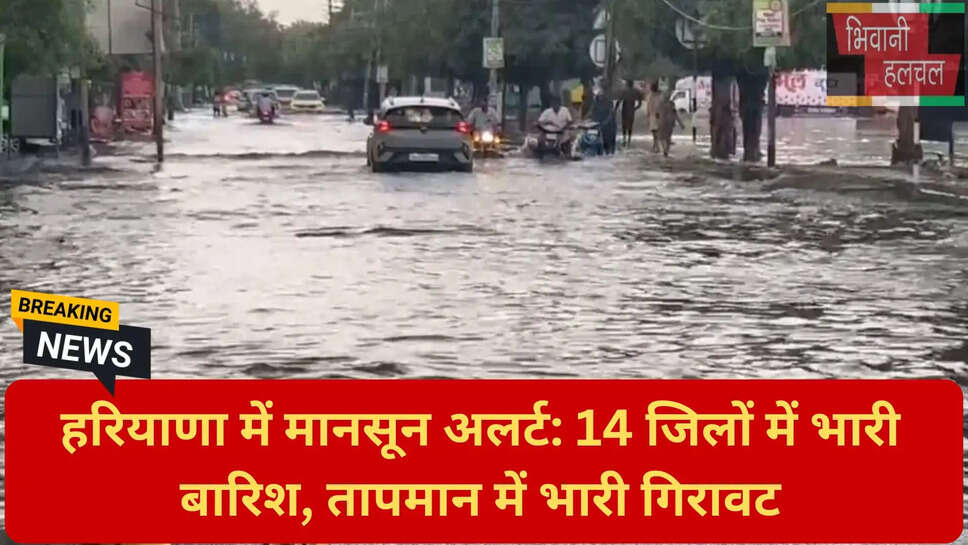 मानसून गतिविधियां हरियाणा