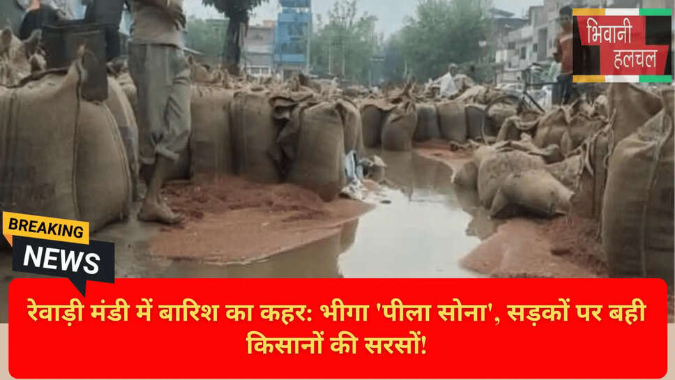 Farmers Loss in Hailstorm