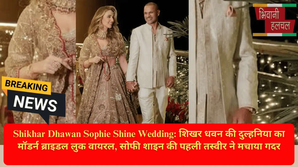 Shikhar Dhawan Second Marriage News