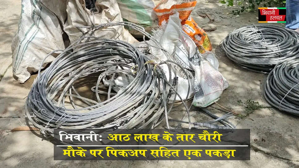भिवानी में 8 लाख के तार चोरी:मौके पर पिकअप सहित 1 को पकड़ा&nbsp;