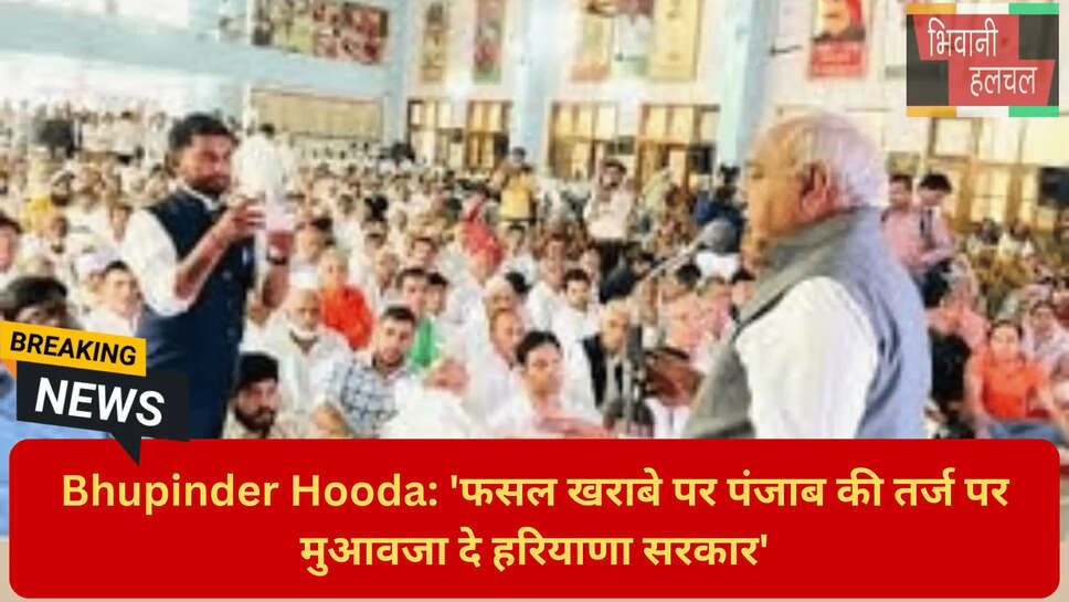 हरियाणा राजनीति समाचार