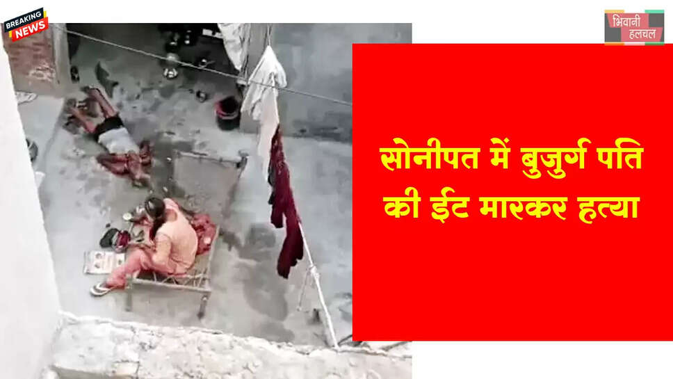 बुजुर्ग पति की ईंट मारकर हत्या