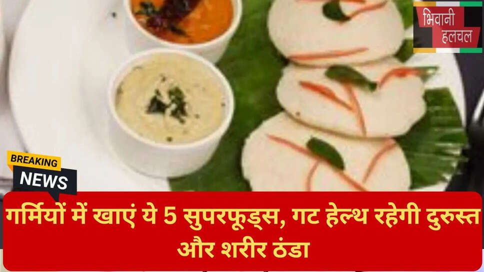 पाखला भात के फायदे