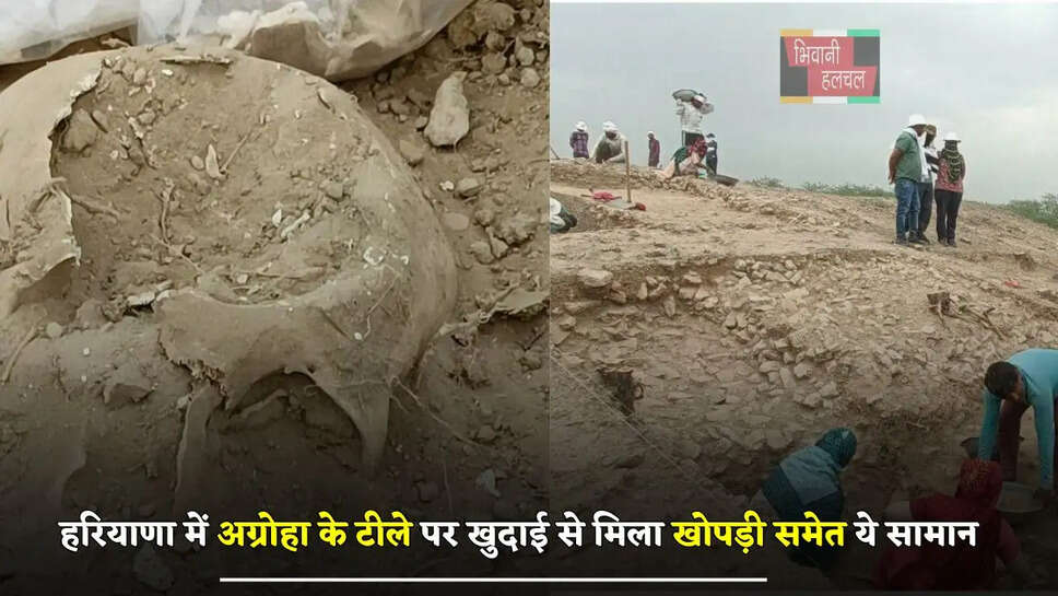 हरियाणा में अग्रोहा के टीले पर खुदाई से मिला खोपड़ी समेत ये सामान, जाने इसका रहस्य ?