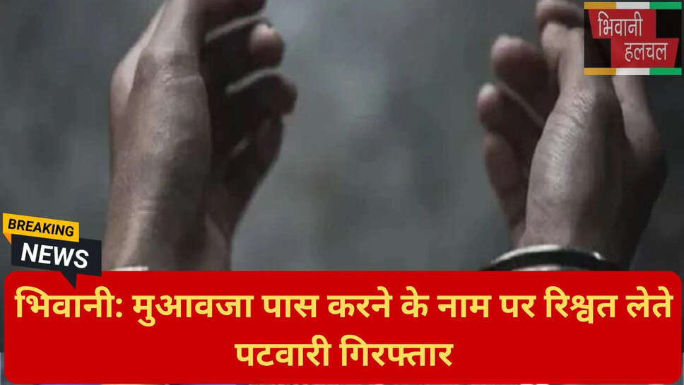 एसीबी रेड भिवानी