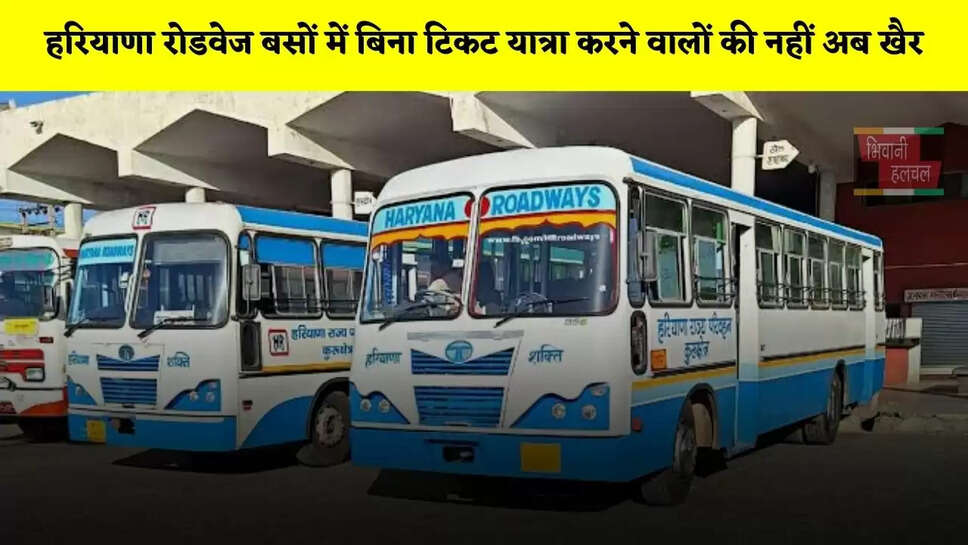 हरियाणा रोडवेज बसों में बिना टिकट यात्रा करने वालों की नहीं अब खैर, होगी ये बड़ी कार्रवाई