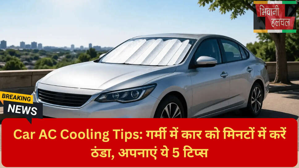 Car AC Filter cleaning