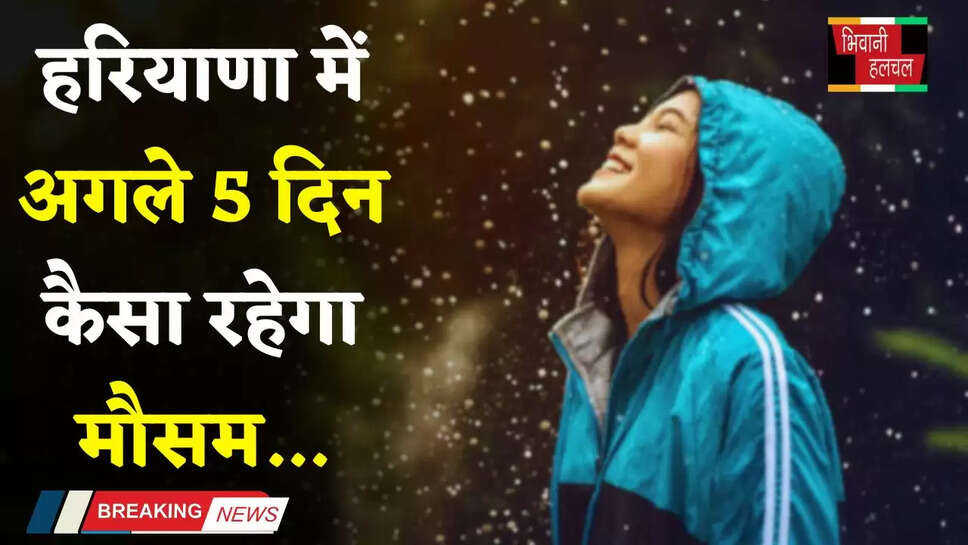 हरियाणा में अगले 5 दिन ऐसा रहेगा मौसम, देखें कब-कब होगी बरसात ?