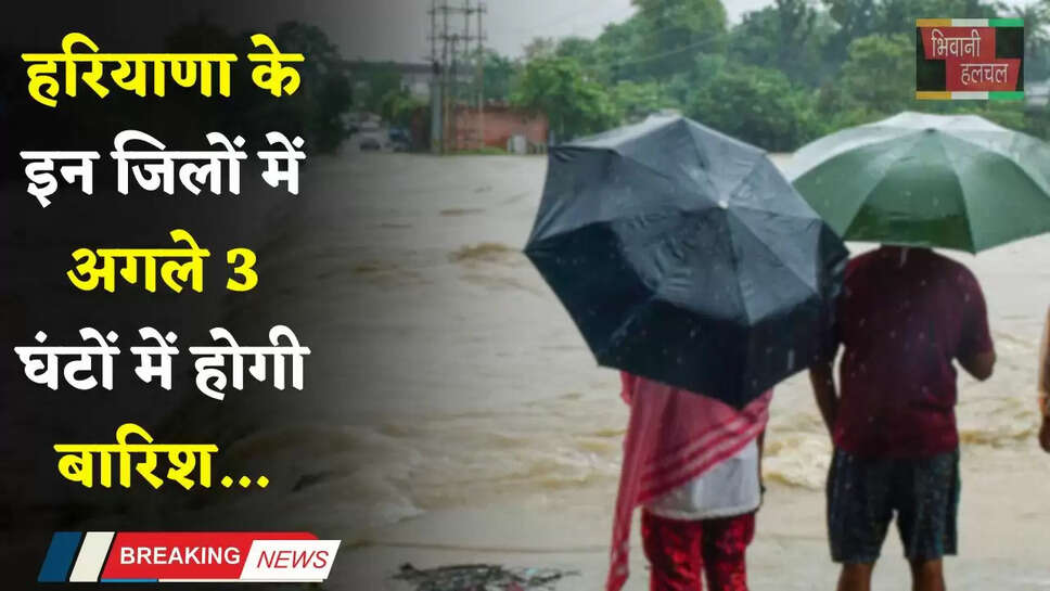 Haryana Weather: हरियाणा के इन जिलों में अगले 3 घंटों में होगी बारिश, देखें ताजा अपडेट
