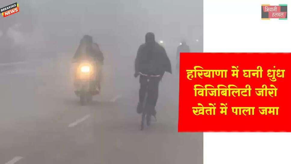हरियाणा में घनी धुंध, विजिबिलिटी जीरो