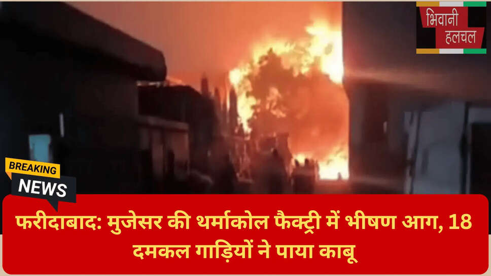 औद्योगिक क्षेत्र में आग का तांडव