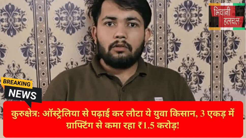 Vegetable Plant Nursery Business