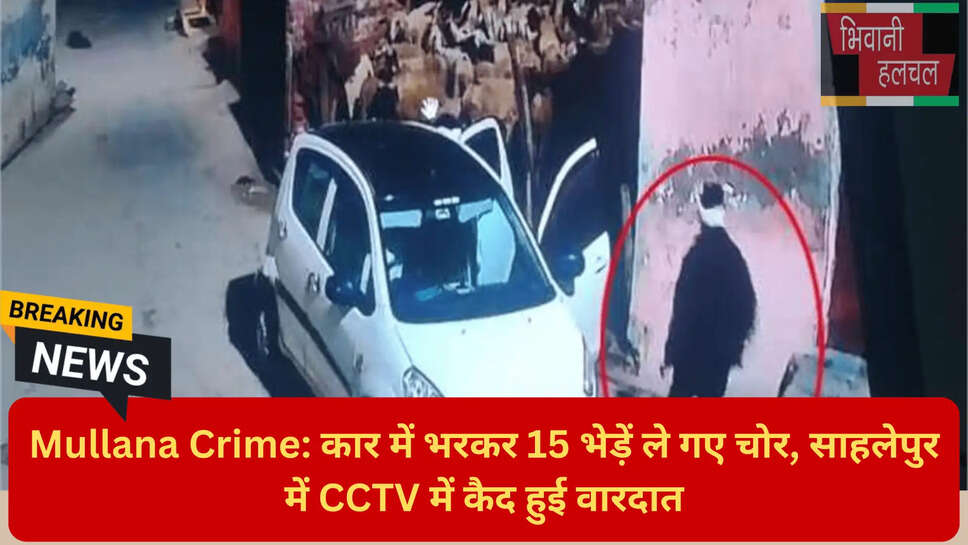 मुलाना थाना पुलिस