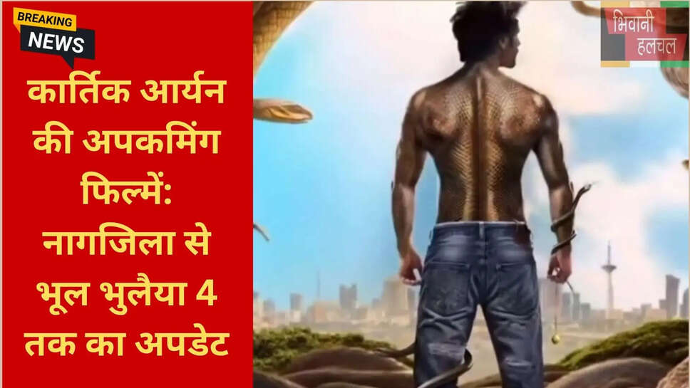 कैप्टन इंडिया कार्तिक आर्यन