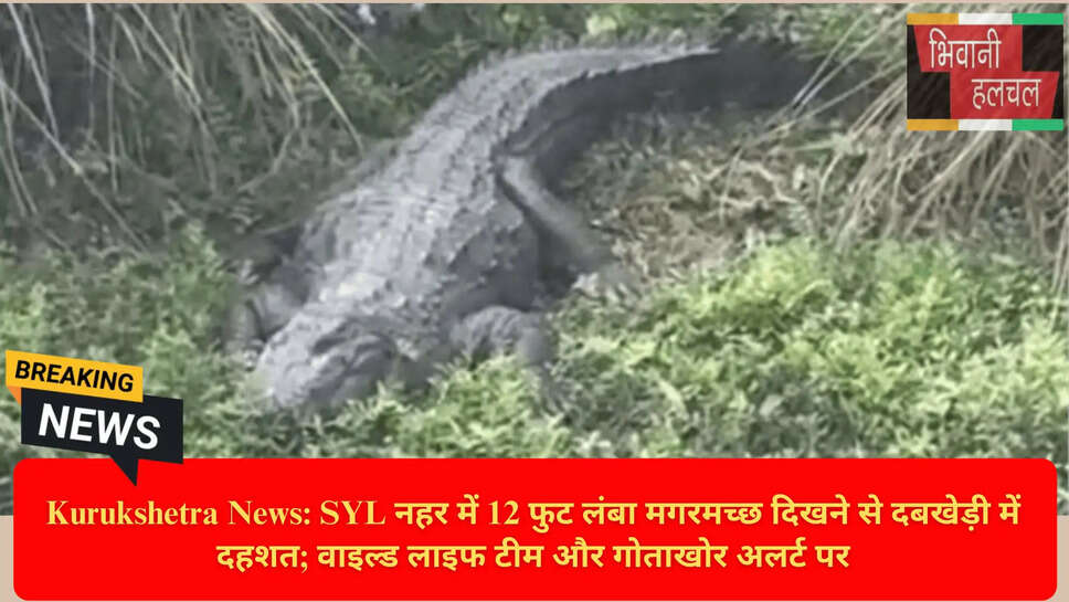 Crocodile Sighting Haryana
