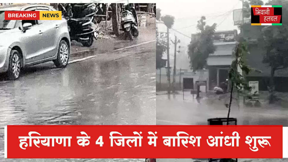 हरियाणा के 4 जिलों में बारिश-आंधी:50 किलोमीटर प्रति घंटे की रफ्तार से चल रही हवाएं&nbsp;