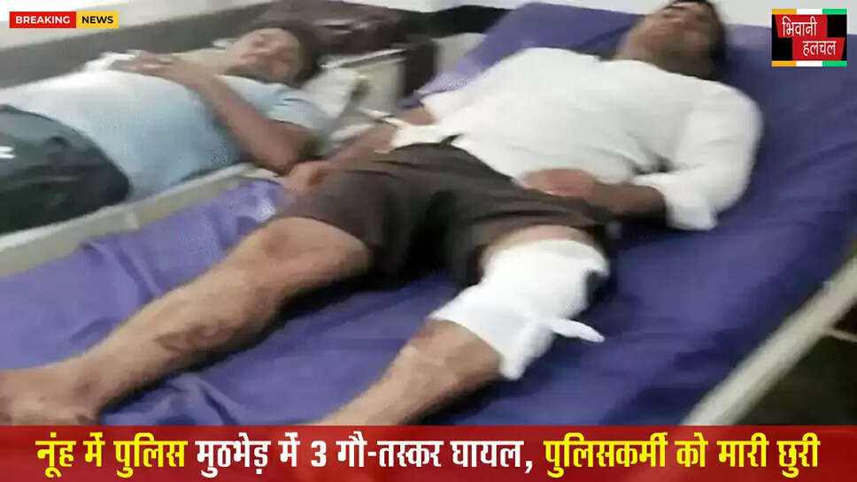 नूंह में पुलिस मुठभेड़ में 3 गौ-तस्कर घायल, पैर&nbsp;में लगी गोली&nbsp;
