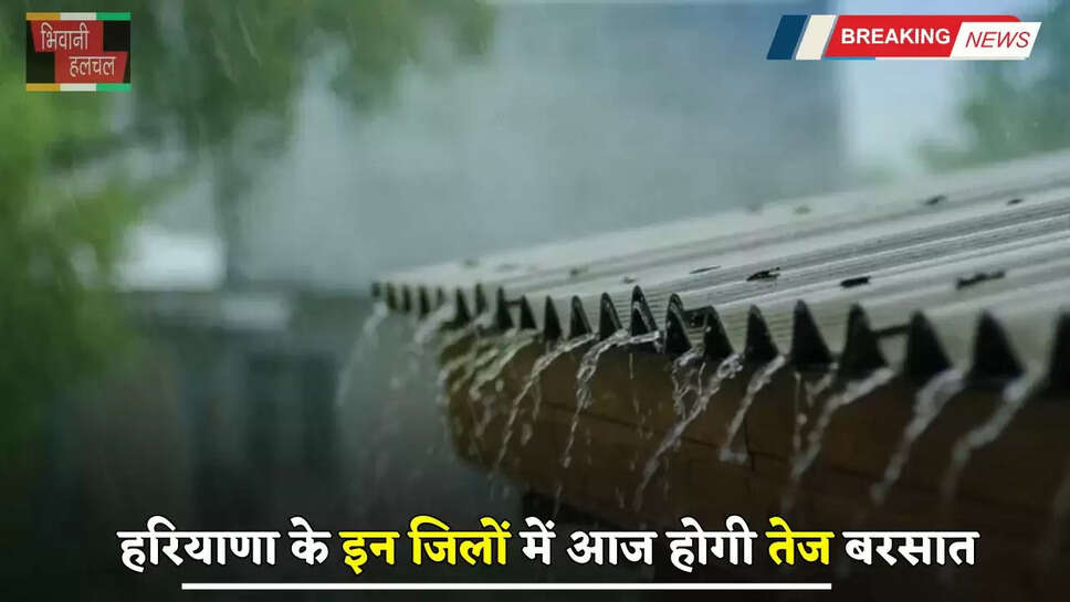 Haryana Weather: हरियाणा के इन जिलों में आज होगी तेज बरसात, मौसम विभाग का अलर्ट जारी&nbsp;