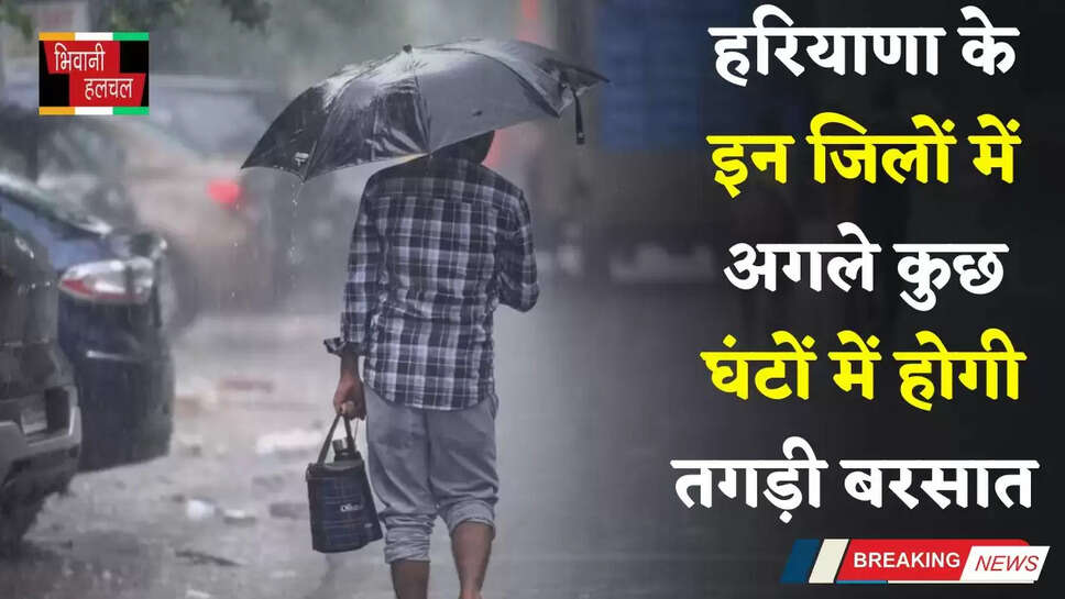 Haryana Rain Alert: हरियाणा के इन जिलों में बदला मौसम, अगली कुछ देर में होगी तगड़ी बरसात&nbsp;