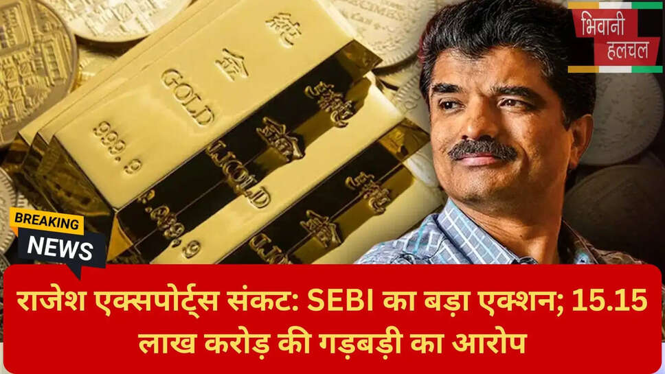 राजेश एक्सपोर्ट्स रेवेन्यू विवाद