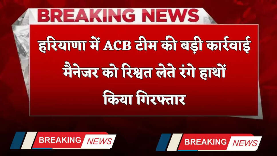 Haryana: हरियाणा में ACB टीम की बड़ी कार्रवाई, मैनेजर को रिश्वत लेते रंगे हाथों किया गिरफ्तार&nbsp;