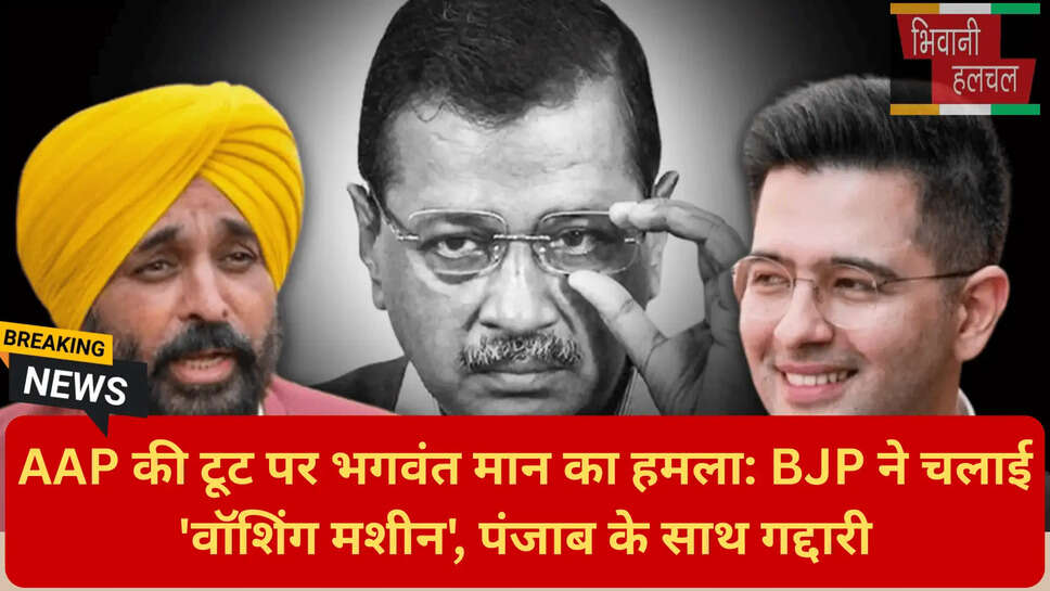 राघव चड्ढा बीजेपी विवाद