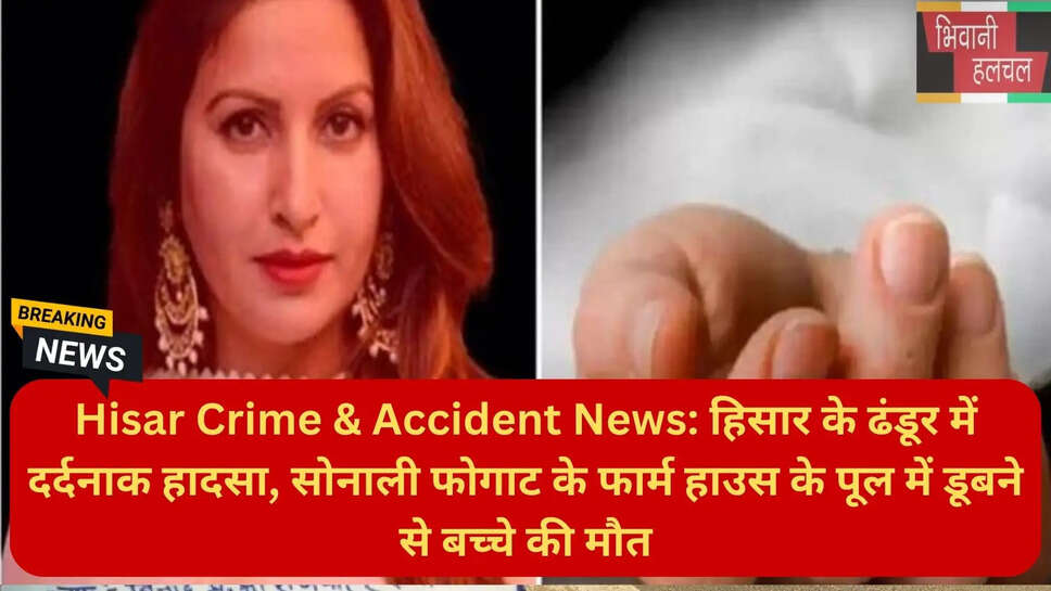 हरियाणा समाचार हिंदी