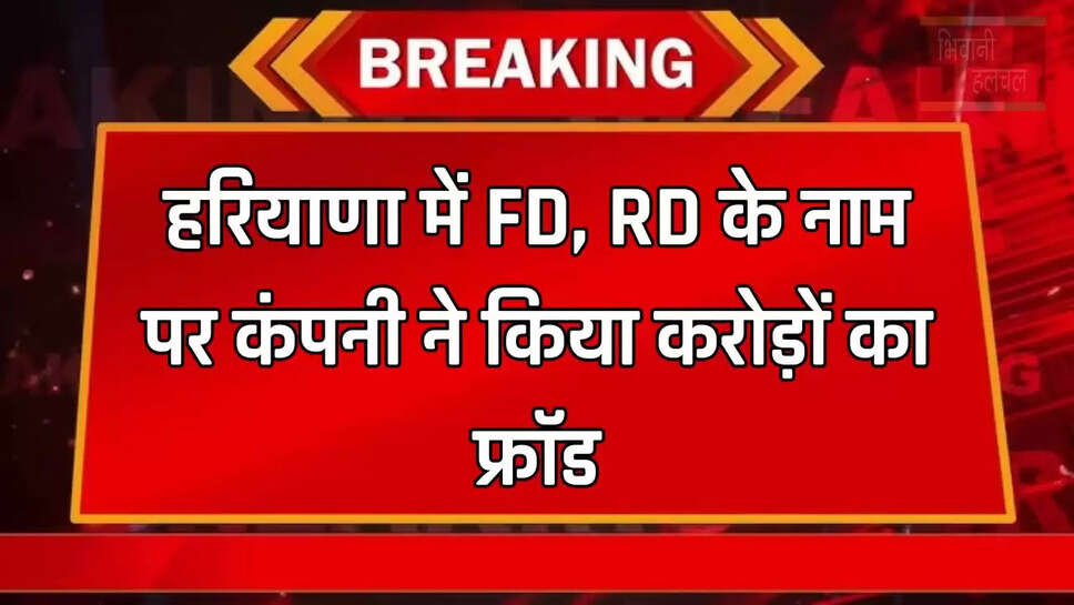  हरियाणा में FD, RD के नाम पर कंपनी ने किया करोड़ों का फ्रॉड, 45 लाख से ज्यादा लोगों का फंसा पैसा &nbsp;