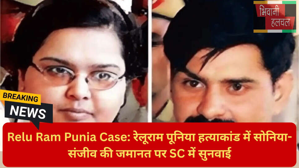 सोनिया संजीव अंतरिम जमानत