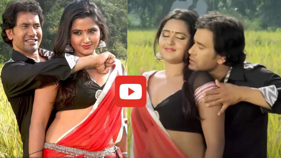 निरहुआ ने काजल राघवानी संग खेतों में किया रोमांस, वीडियो देख लोगों का डोला मन