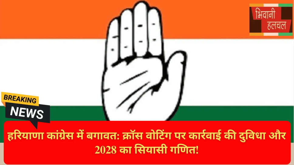 Bhupinder Hooda vs Cross Voters