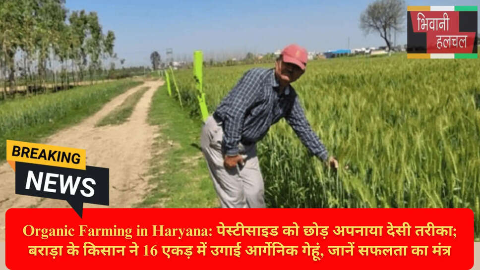 Haryana Agriculture News