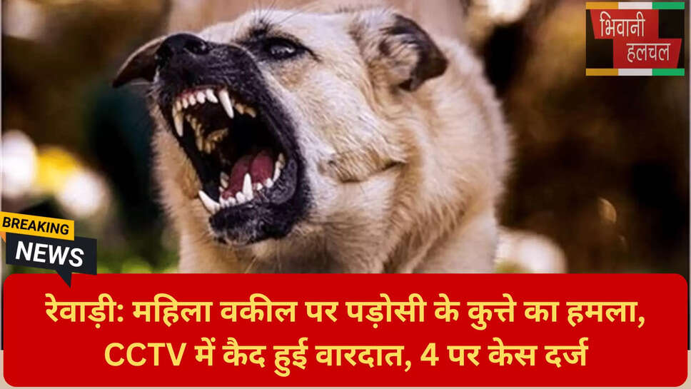 पोमेरेनियन डॉग हमला