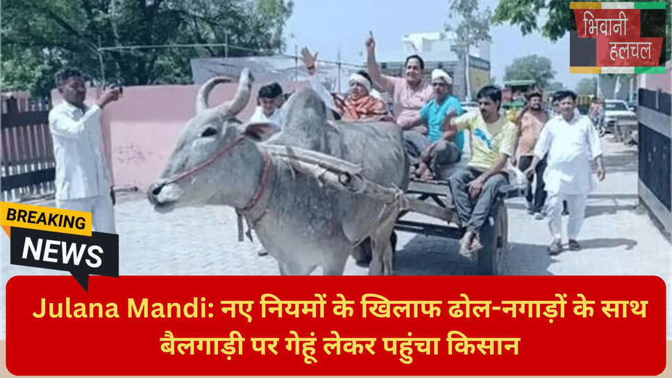 जुलाना मंडी गेट पास