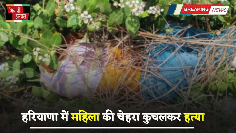 Haryana: हरियाणा में महिला की चेहरा कुचलकर हत्या, झाड़ियों में मिली लाश...