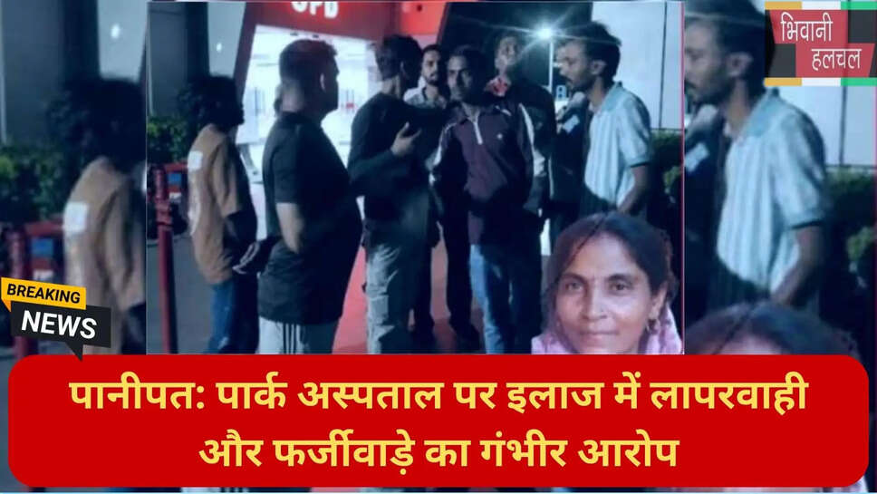 Sector 29 thana Panipat FIR