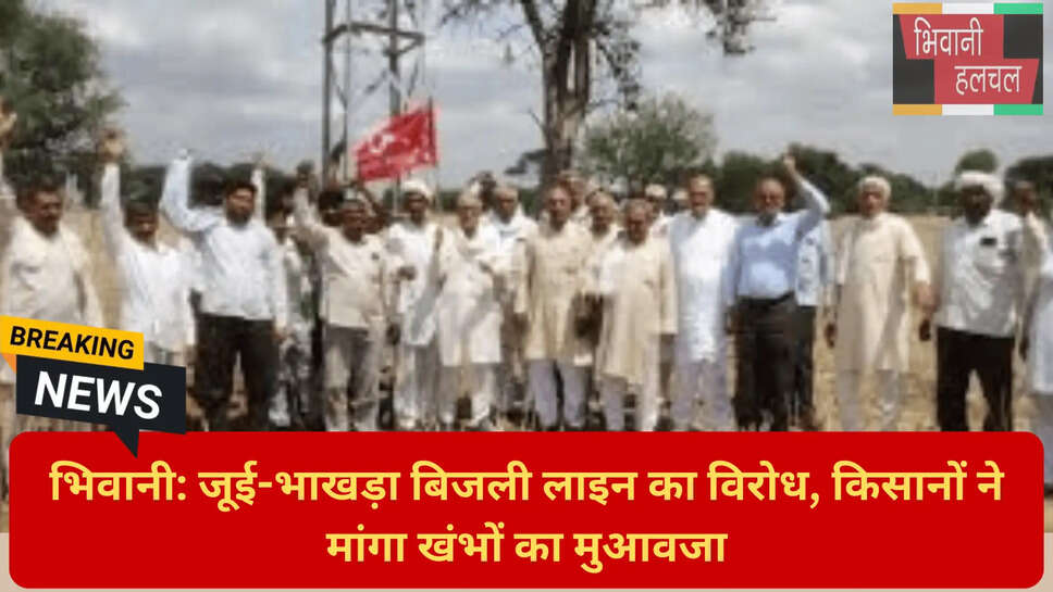 बिजली पोल मुआवजा विवाद हरियाणा