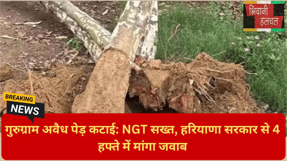 गुरुग्राम एनजीटी अपडेट 2026