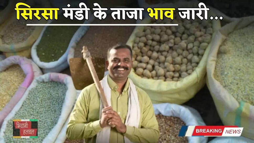 Mandi Bhav: हरियाणा की सिरसा मंडी के ताजा भाव जारी, देखें आज के नए रेट