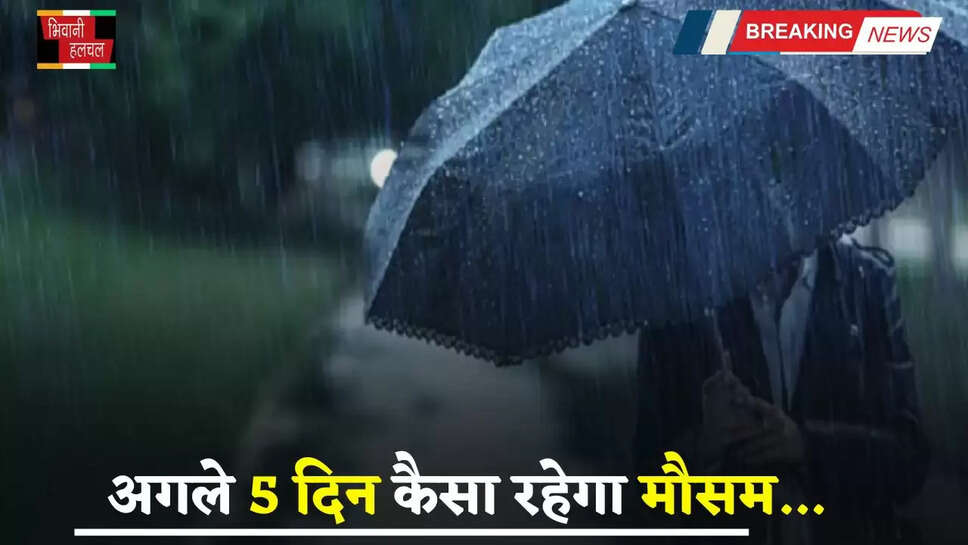Haryana Weather: हरियाणा में अगले 5 दिन कैसा रहेगा मौसम, विभाग ने दी ये जानकारी&nbsp;