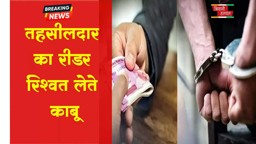तहसीलदार का रीडर रिश्वत लेते काबू