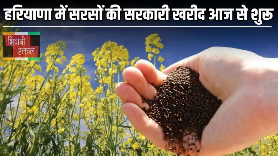 Haryana Farmers