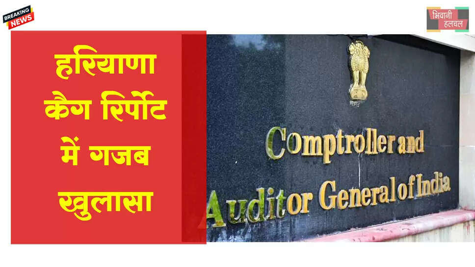 OMG! कैग रिपोर्ट में गजब खुलासा&nbsp;