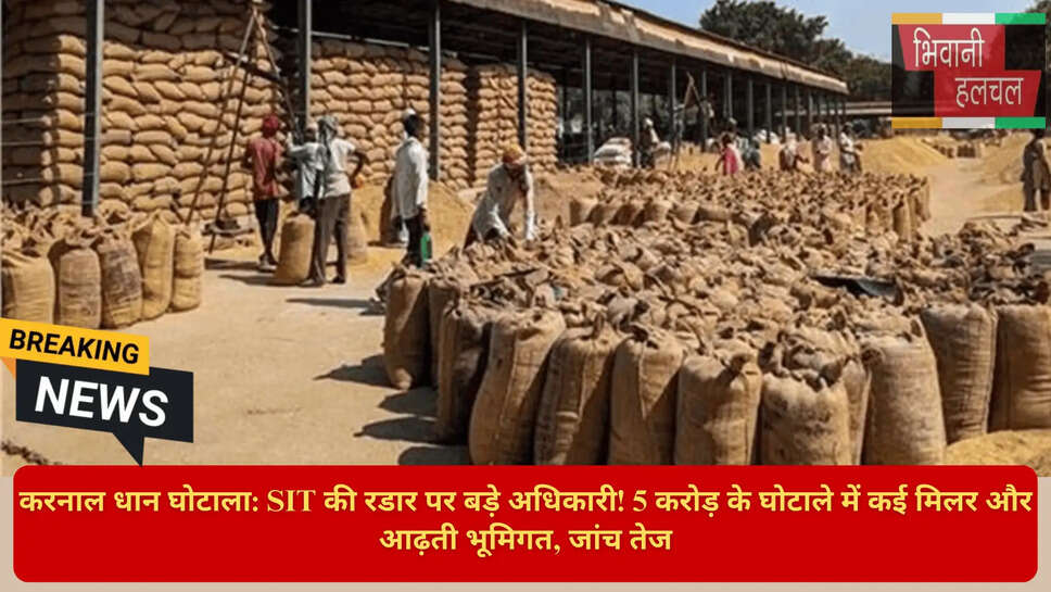 हरियाणा अनाज मंडी घोटाला