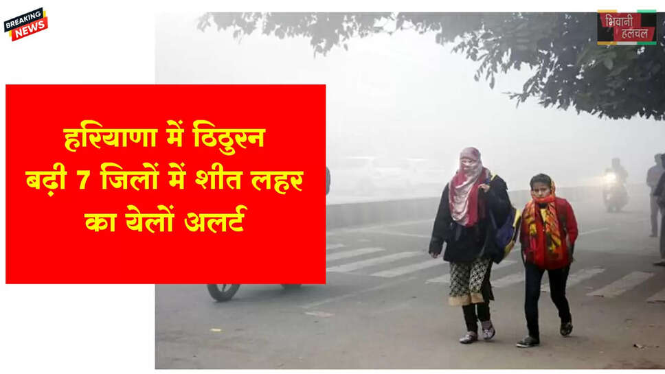हरियाणा में ठिठुरन बढ़ी, 7 जिलों में शीत लहर का येलो अलर्ट