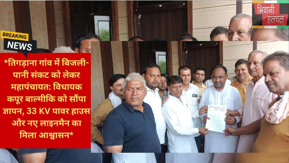हरियाणा बिजली संकट