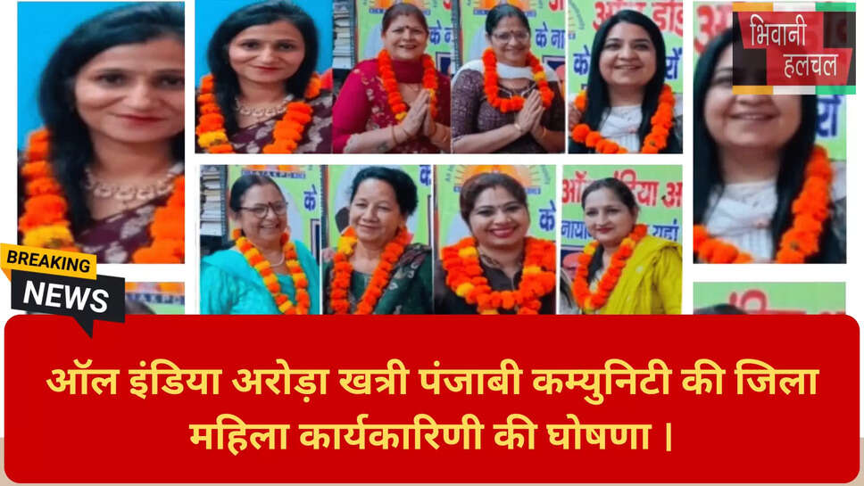 हिसार न्यूज़