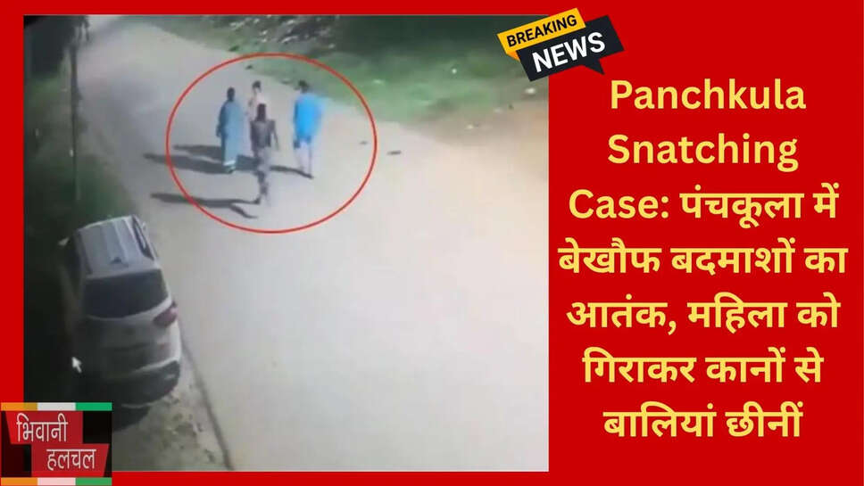हरियाणा क्राइम न्यूज