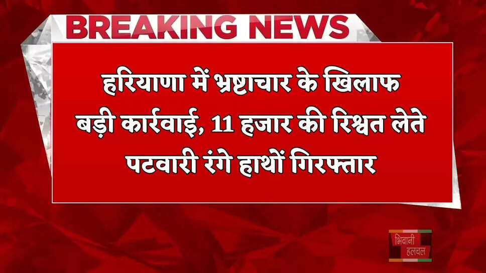 हरियाणा में भ्रष्टाचार के खिलाफ बड़ी कार्रवाई, 11 हजार की रिश्वत लेते पटवारी रंगे हाथों गिरफ्तार&nbsp;