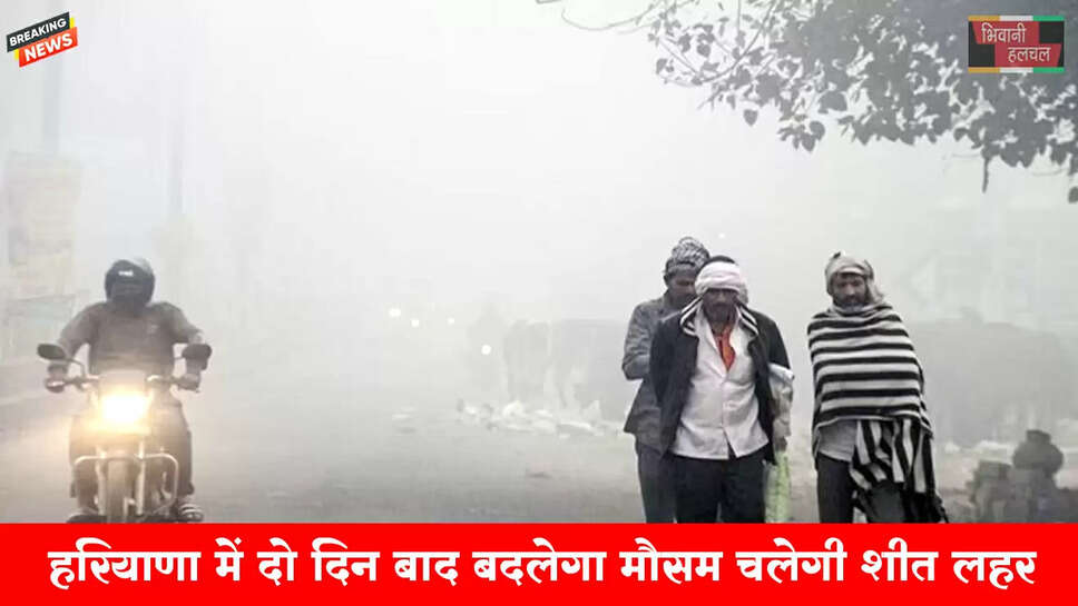 हरियाणा में 2 दिन बाद शीतलहर चलेगी